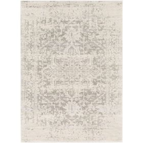 3' x 5' Distressed Oriental Area Rug in Light Grey / Beige